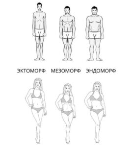 Типы фигур мезоморф эктоморф эндоморф девушек мужчин